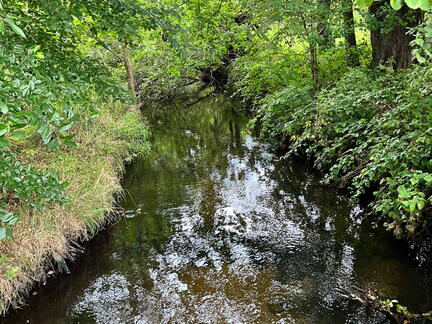 23-09-17 14-35-11 7011